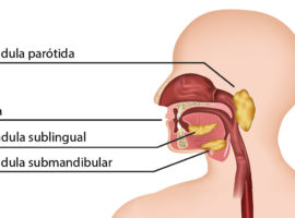 ¿Es el test de saliva la mejor opción para detectar droga?