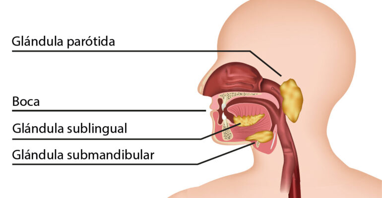 ¿Es el test de saliva la mejor opción para detectar droga?