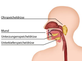 Speichel – optimal für Drogentests?