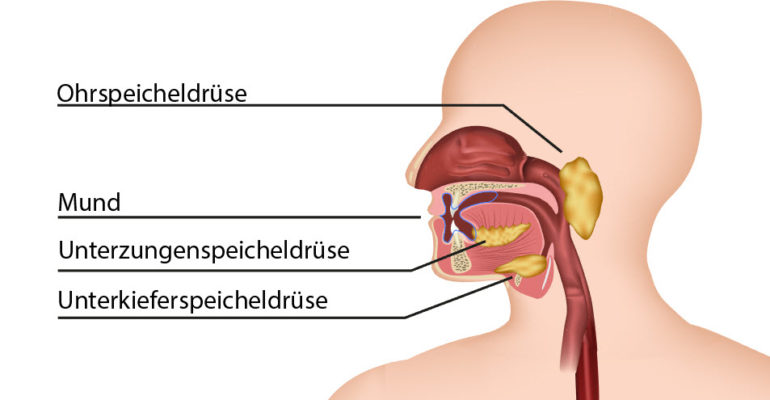 Speichel – optimal für Drogentests?