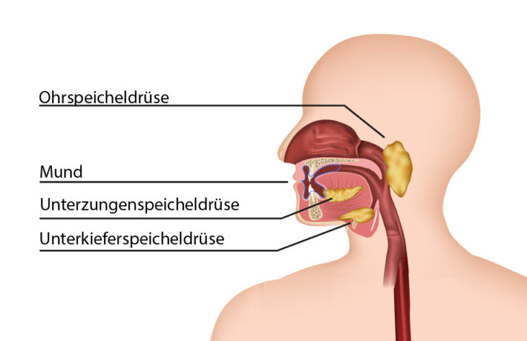 Speichel – optimal für Drogentests?