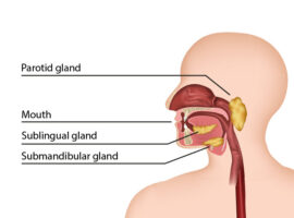 Saliva – the best option for drug tests?