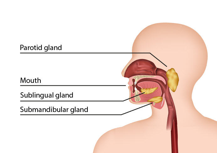 Saliva – the best option for drug tests?