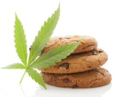 Joint ou space cookie ? DrugWipe permet de détecter la consommation de cannabis sous toutes ses formes