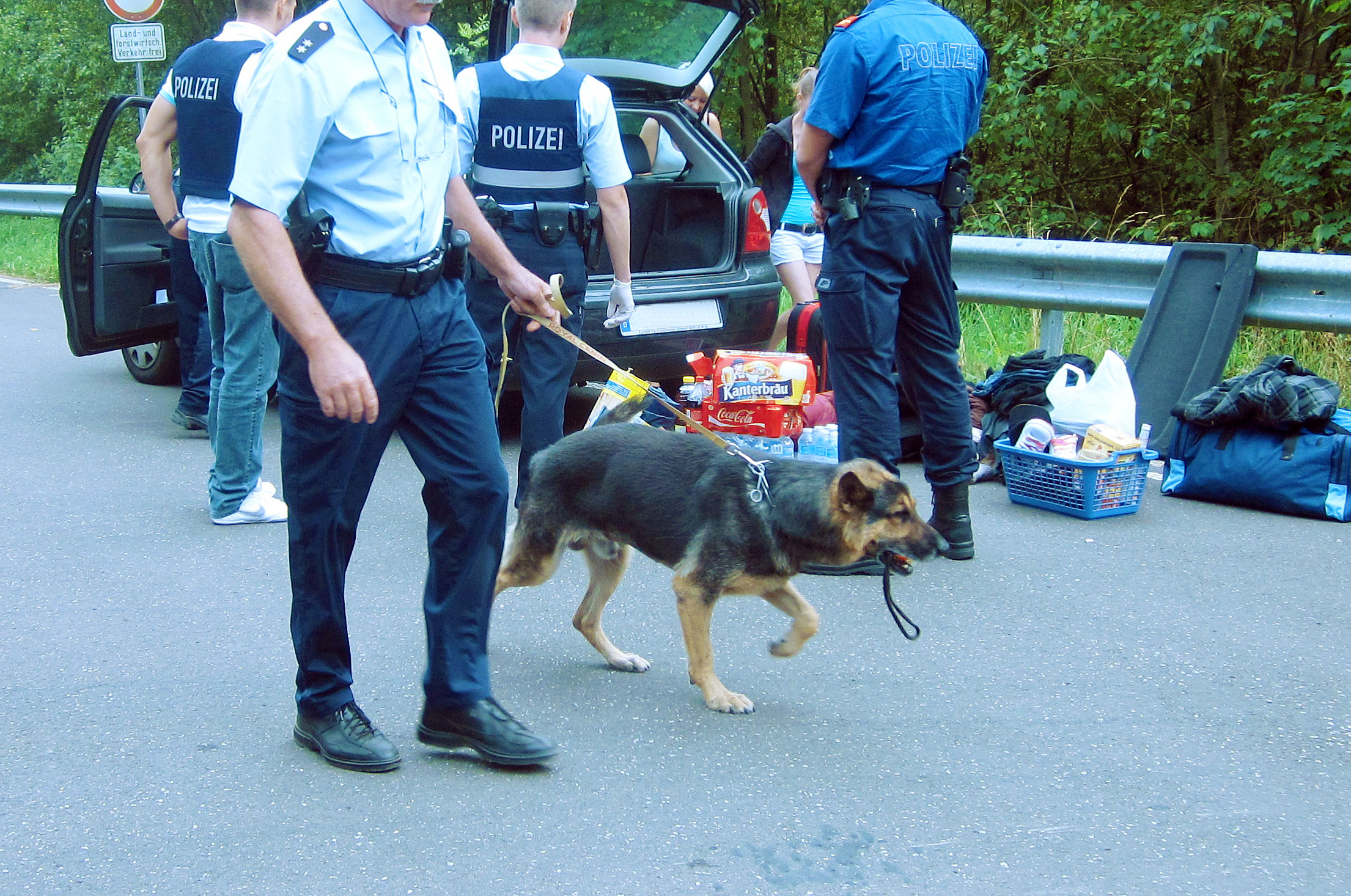 Polizeihund_Drogensuche_Nature_One_IMG_2091_Retusche_Ausschnitt