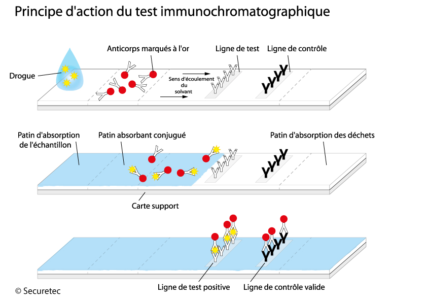 Principe d'action et conception du DrugWipe