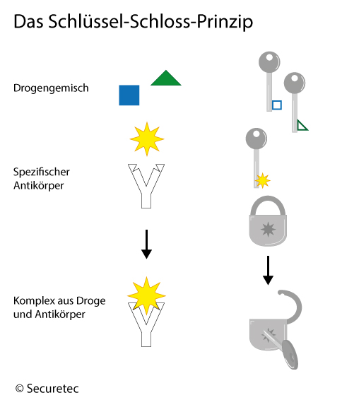 Drogenschnelltest – wie geht das?