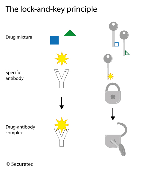 How Do Drug Test Work?