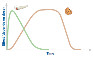 Graph: Difference in the effects of THC when consumed as a biscuit or a joint