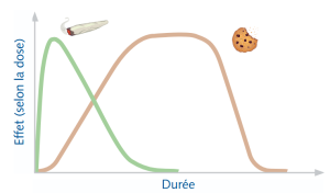 Graphique : Différence d'effet du THC selon qu'il est consommé sous forme de biscuit ou de joint_FR