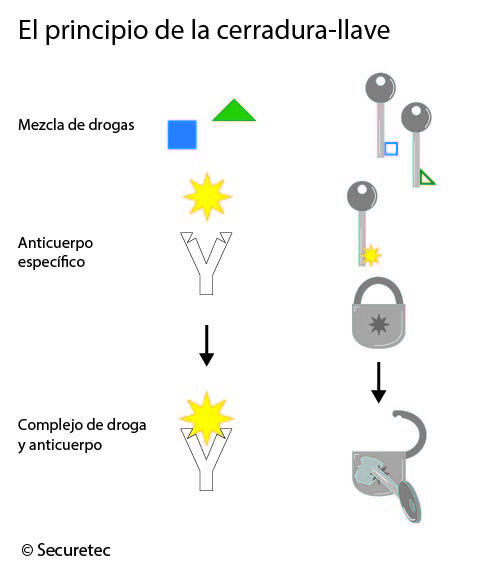Representación gráfica del principio de llave y cerradura