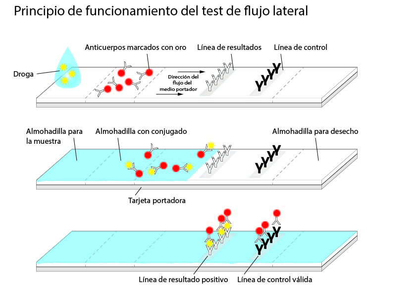 Representación gráfica del principio de funcionamiento de una prueba de flujo lateral