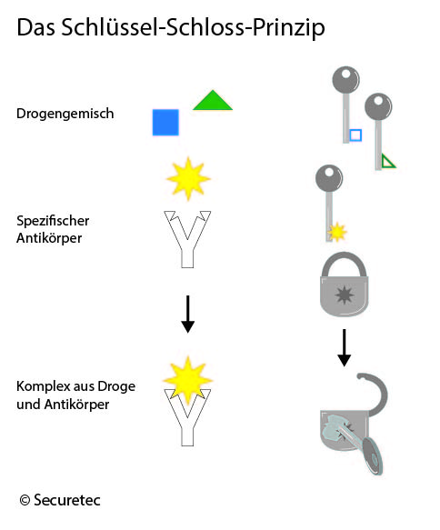 Grafische Veranschaulichung Schlüssel-Schloss-Prinzip