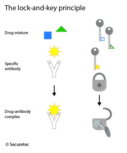 Graphical illustration of the key-and-lock principle