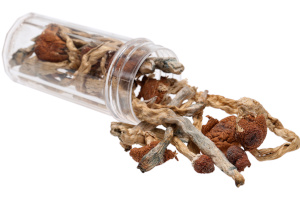 Glas mit getrockneten Pilzen auf weißem Hintergrund