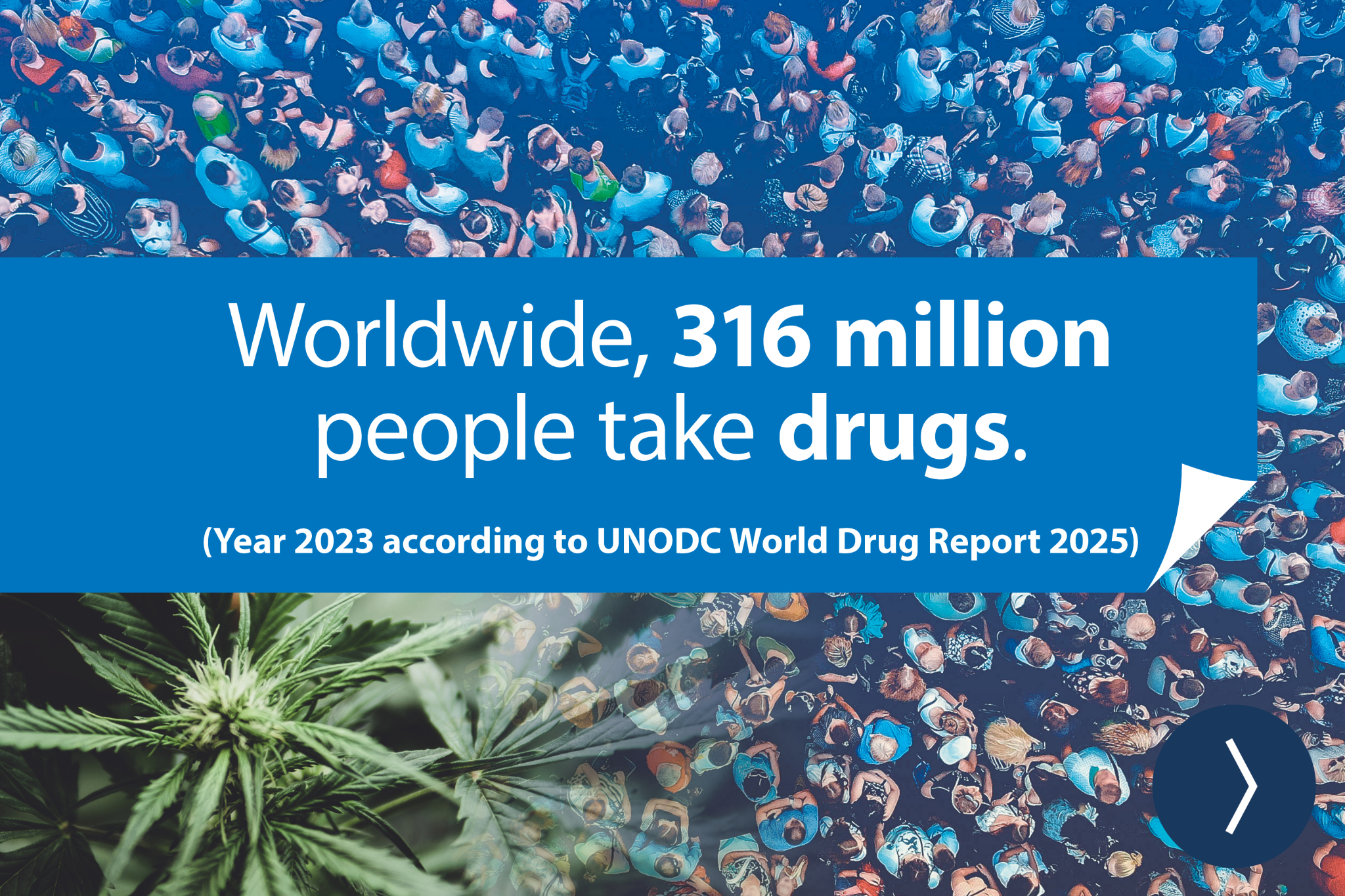 Banner - Worldwide, 316 million people take drugs